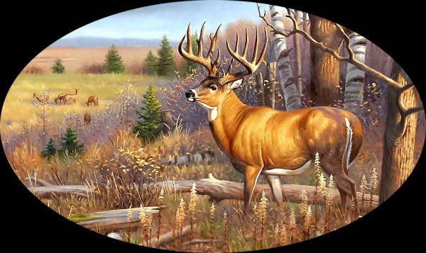 Cynthie Fisher художник картины оленят