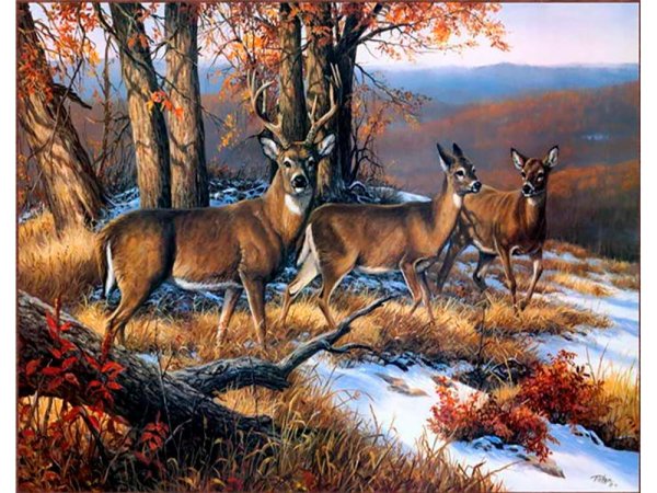 Осенний пейзаж с оленем