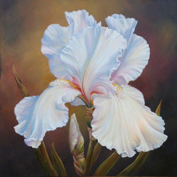 Пионы Marianne Broome