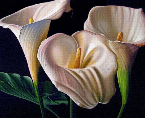 Художник Эллери Гутьеррес