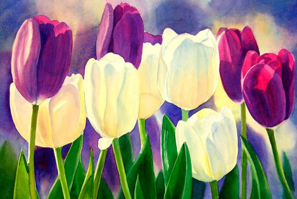 Пионы Marianne Broome