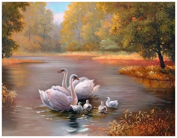 Пейзаж с лебедями