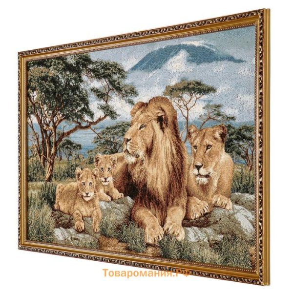 Золотое Руно березы