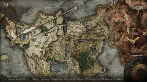 Элден ринг Замогилье туманный лес