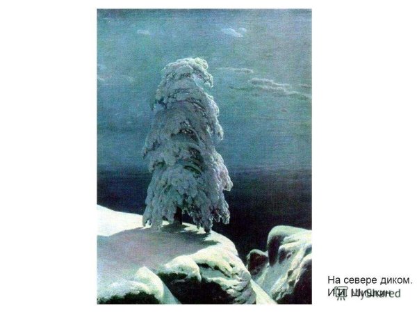 Шишкин на севере диком картина