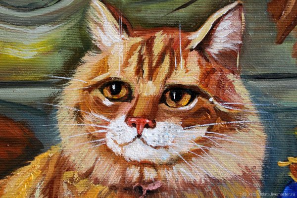 Кошка маслом