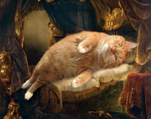 Светлана Петрова и кот Заратустра (FATCATART)