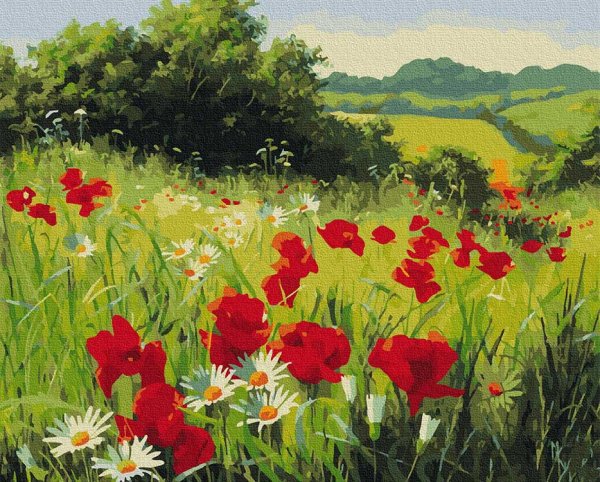 Маковое поле Мэри Дипнолл