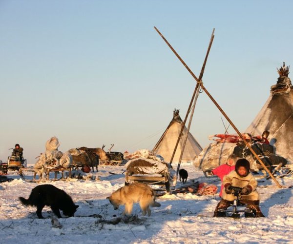 Картина дети севера для детей