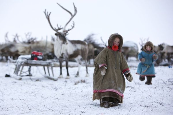 Картина дети севера для детей