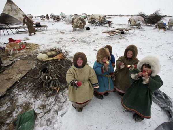 Дети севера