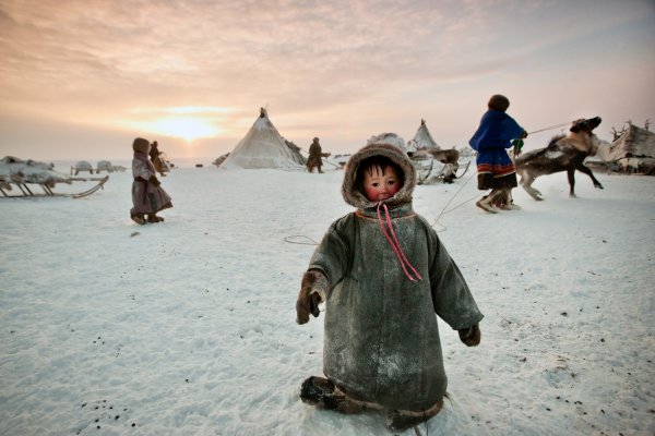Жители крайнего севера для детей