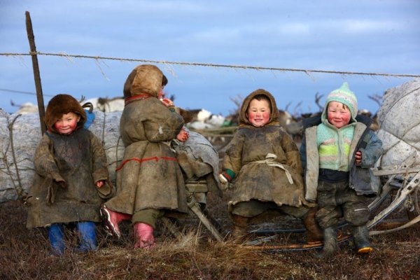 Картина Неустроева дети севера