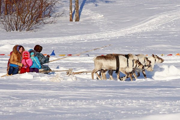 Покататься на оленьей упряжке