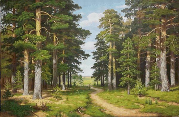 Живопись Бебия Владимир Иродионович