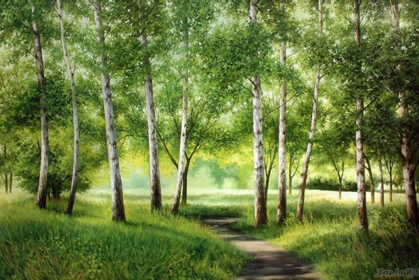 Картина летнего леса для детей