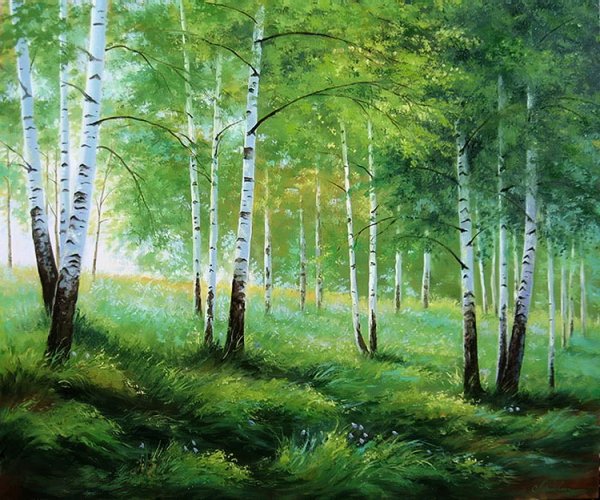 Сказочный березовый лес
