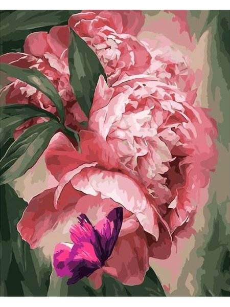 Douglas Frasquetti-художник