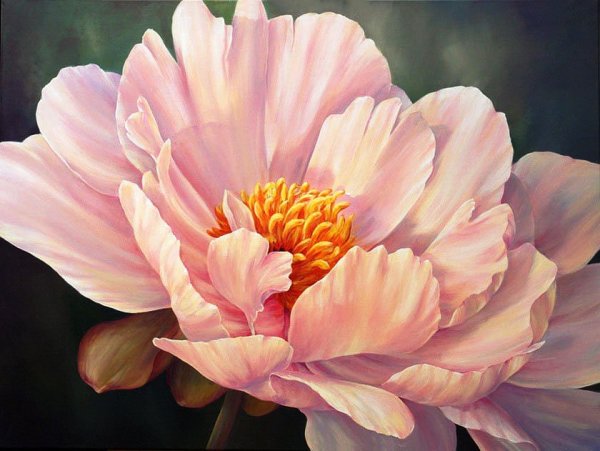 Красивые Акварельные цветы