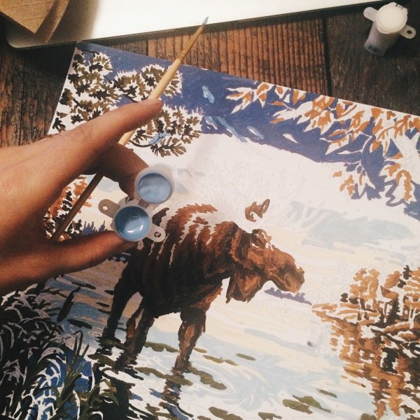 Живопись по номерам Амстердам