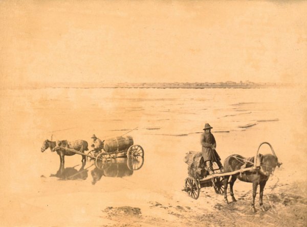 Водовозы в 19 веке