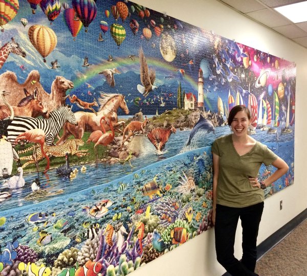 Самый большой пазл