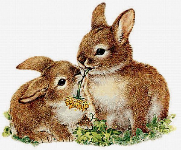 Заяц с зайчонком