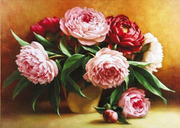 Пионы Галины Конищевой