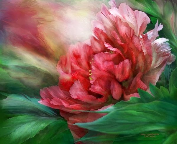 Тамара Антонюк