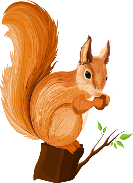 Белка для детей