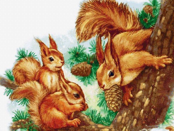 Белки для детей