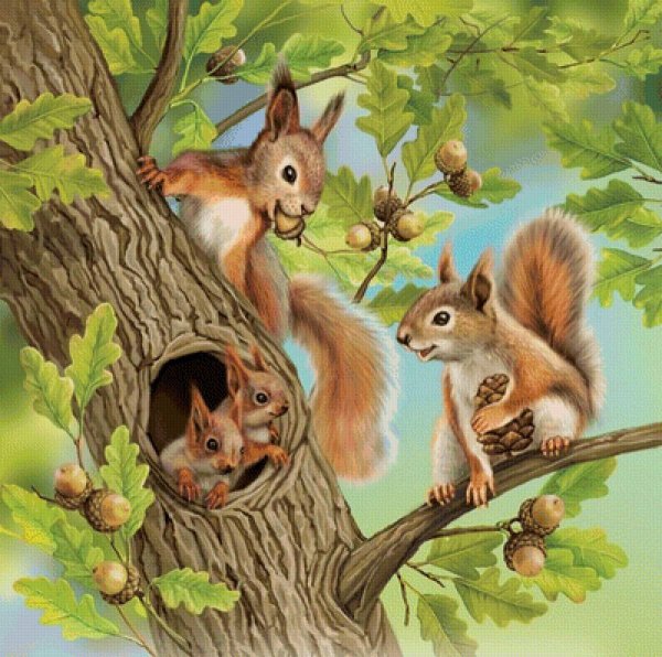 Белка в дупле для детей