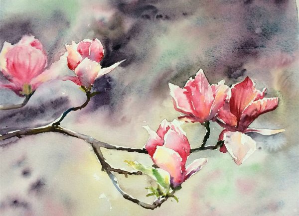 Магнолия Акварельная живопись японских художников