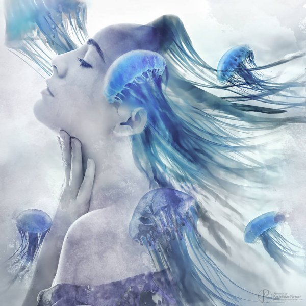 Ирина Ковальчук Васильковое поле