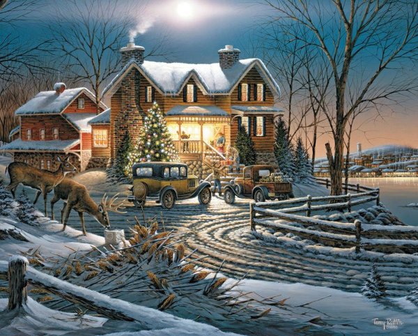 Художница Dona Gelsinger