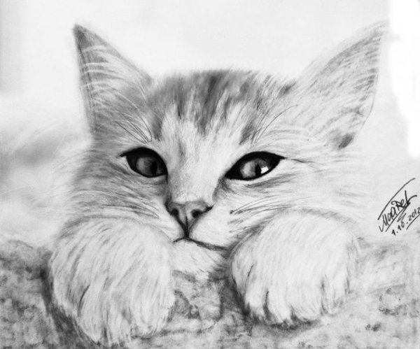 Смешные рисунки карандашом