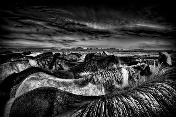 Пазл Фрея 2000 элементов Лондон