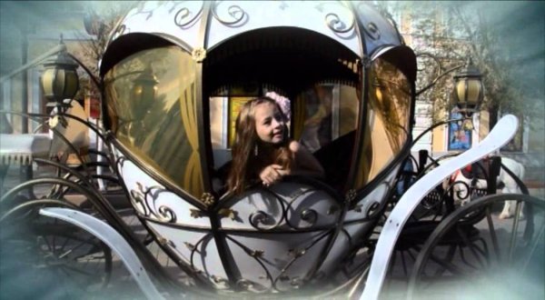 Дама в окне кареты живопись