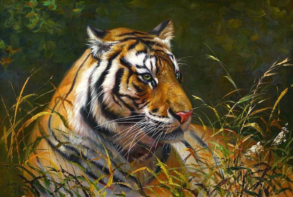 Тигр живопись