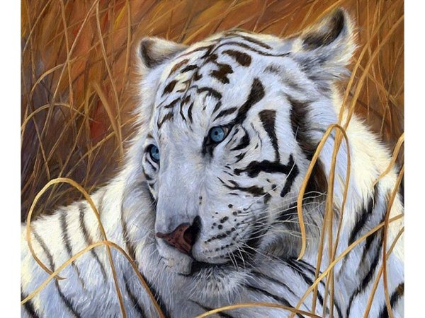 Алмазная вышивка белый тигр диамонд