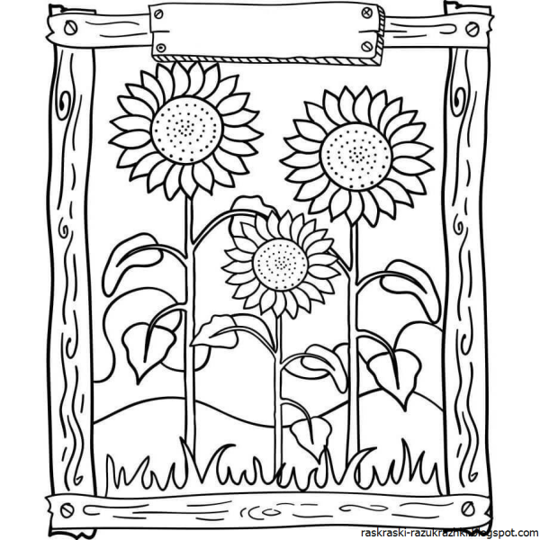 Подсолнух. Раскраска