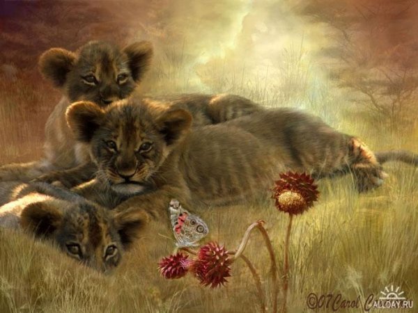 Кэрол Каваларис художник