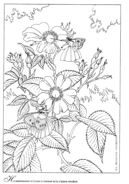 Сказочный цветок раскраска