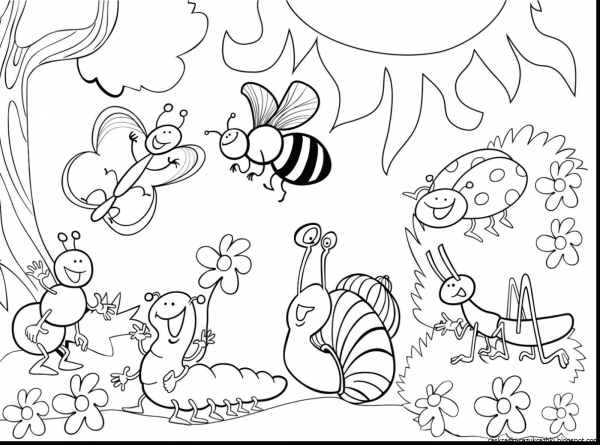 Насекомые. Раскраска