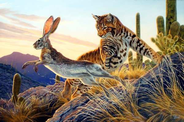 Ал.Агнев художник-анималист