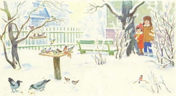 Сюжетная картина птицы на кормушке