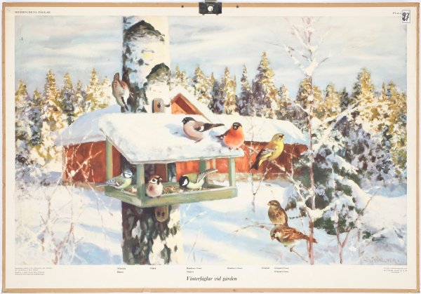 Художник Thure Wallner