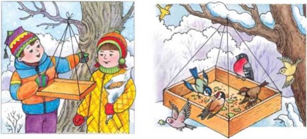Забота о птицах зимой