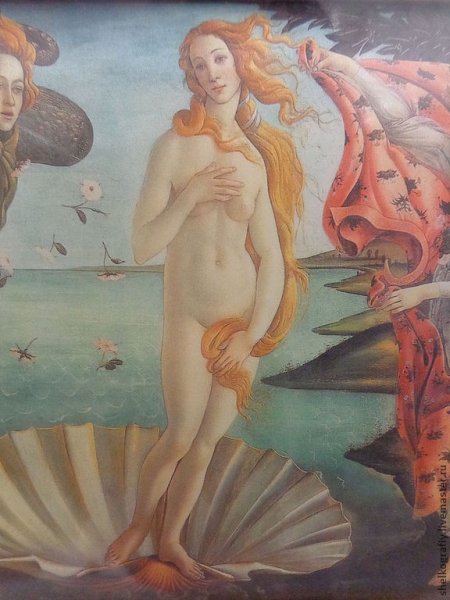 Девушка в ракушке