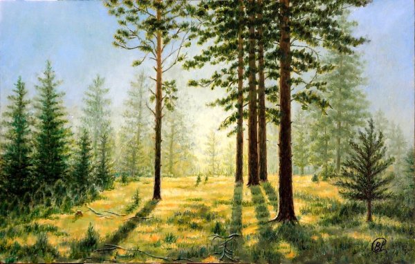 Лесное царство Шишкин